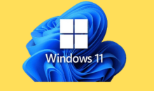 Windows 11